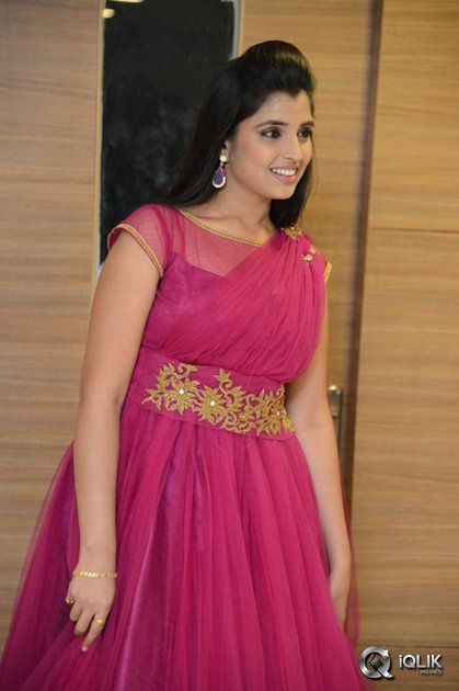 Anchor-Syamala-at-Speedunnodu-Movie-Platinum-Disc-Function